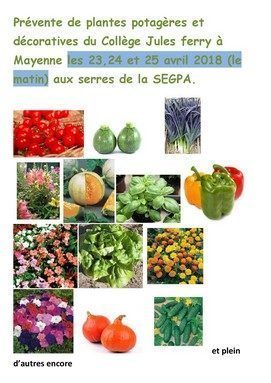 Vente de plantes potagères et décoratives