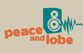 Concert Peace and Lobe pour les élèves de 3ème