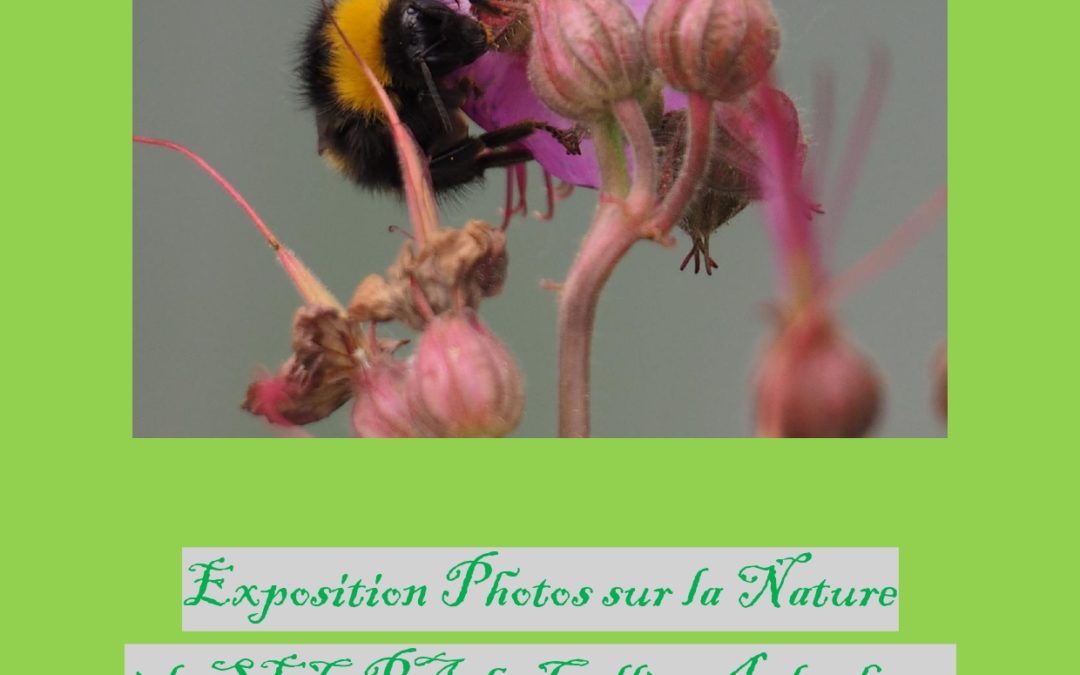 Exposition photos sur la nature