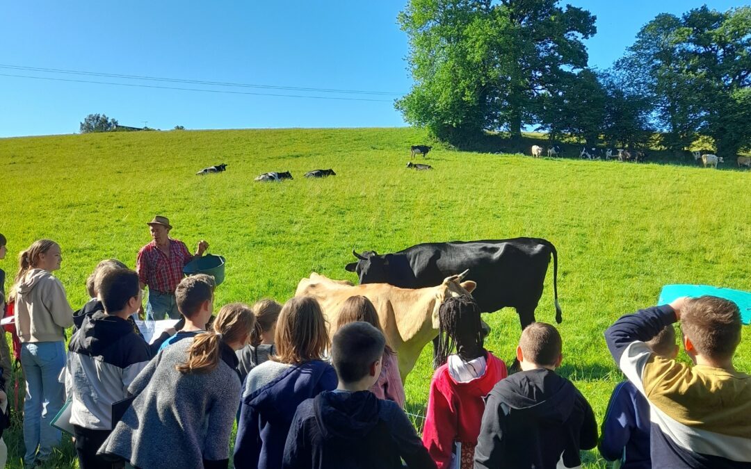 Visite d’une exploitation laitière pour les élèves de 6ème